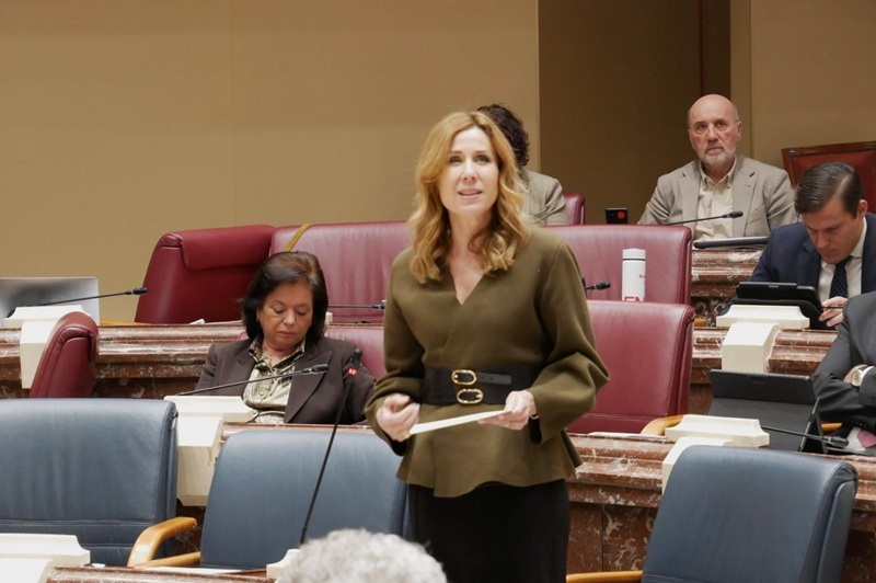 portavoz gobierno hablando en la asamblea