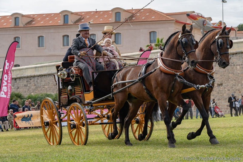 caballos tirando de un carro