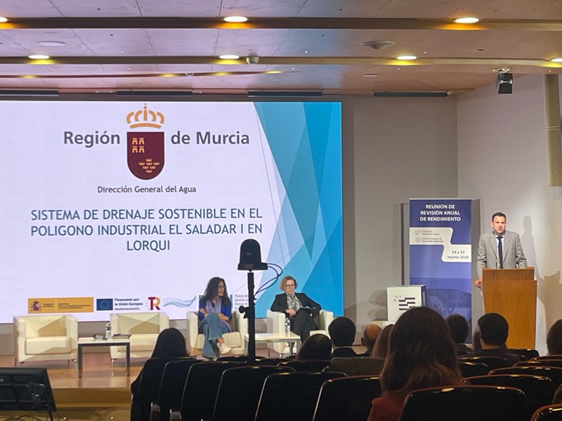 Revisión anual rendimiento