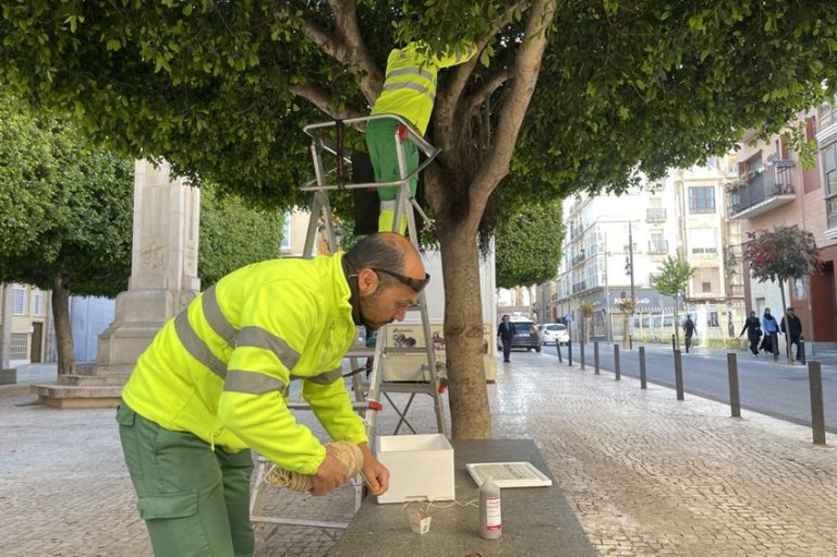 jardineros trabajando control de plagas