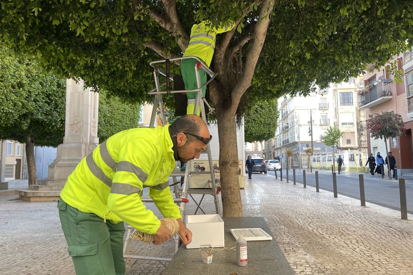jardineros trabajando control de plagas