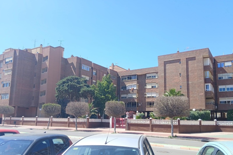 jardines planta nuevos arboles