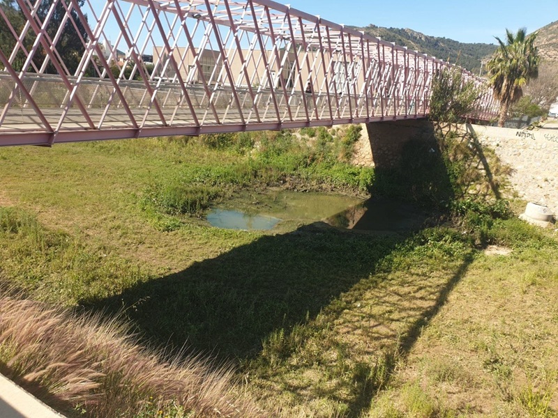 vegetación invasiva benipila