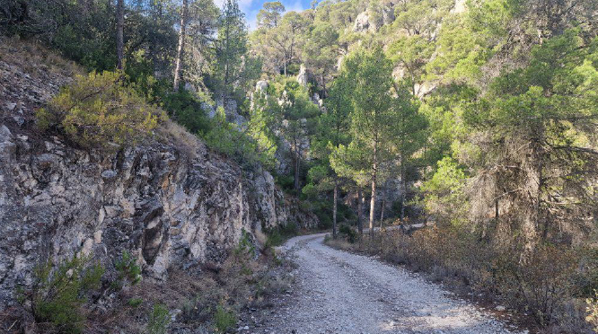 Ruta del sendero Sierra del Carche en Yecla entre Raspay y el vértice geodésico de Las Pansas