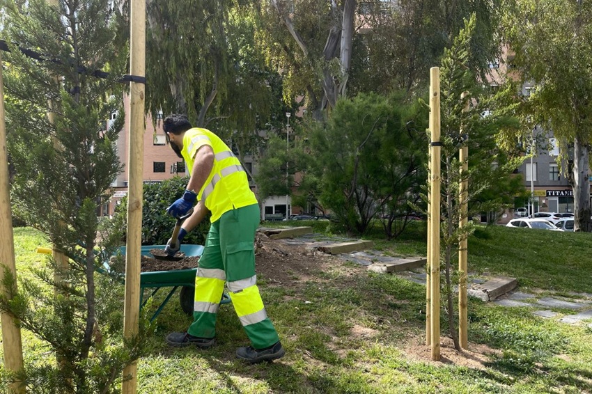 resiembra césped zonas verdes