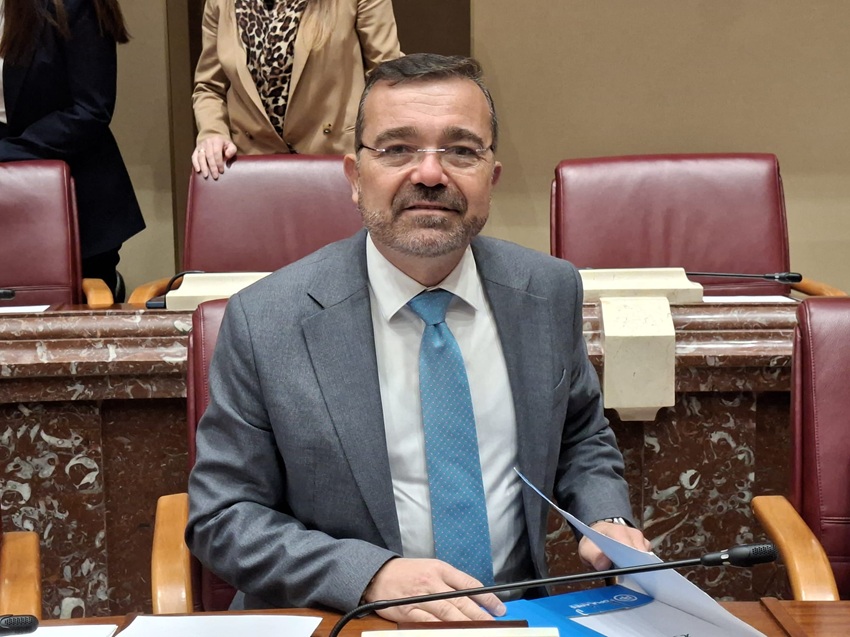 representante pp murcia paro