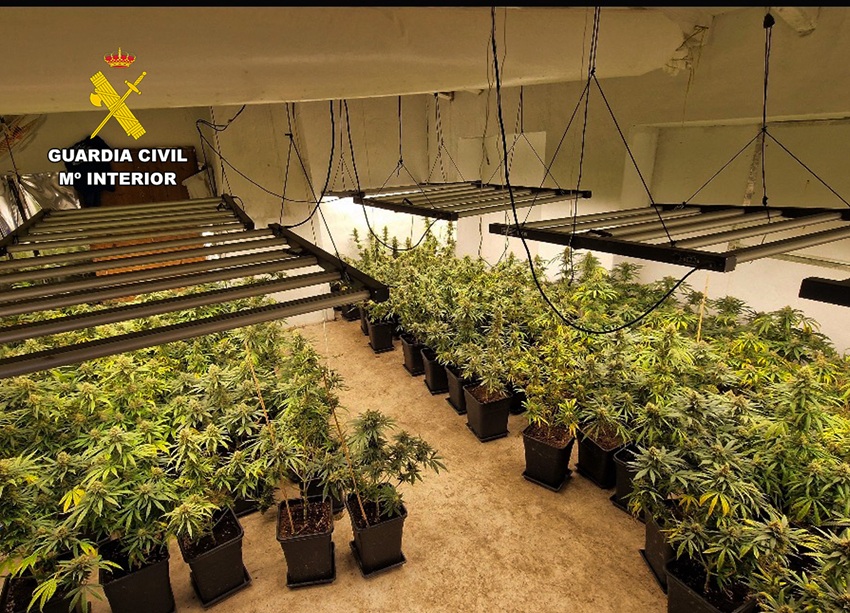 operación antidroga Guardia Civil Abanilla marihuana