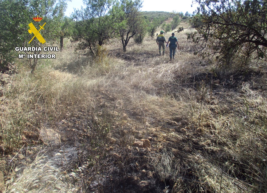 incendio forestal Lorca Guardia Civil investigación