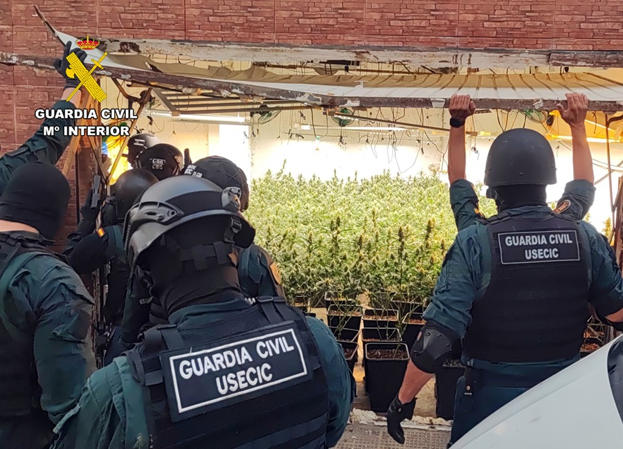 clan marihuana San Javier