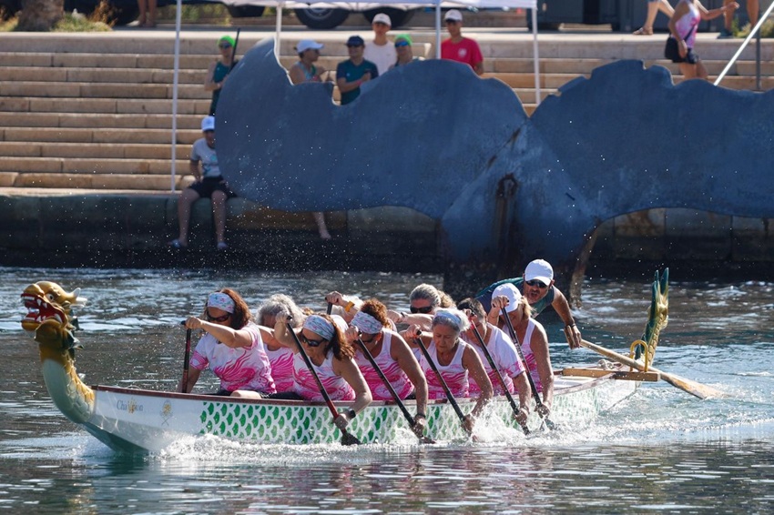 regata Barco Dragón