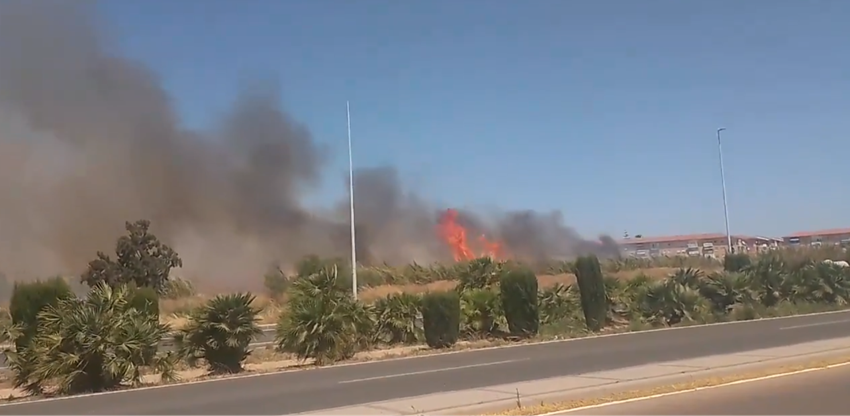 incendio vegetación barrio Peral Cartagena