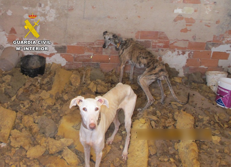 maltrato animal Guardia Civil