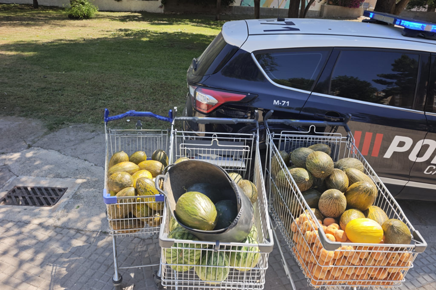 decomiso fruta ilegal mercado Cartagena Policía Local