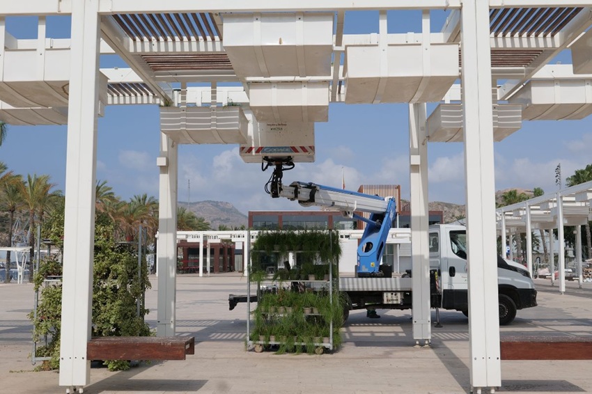 pérgolas Puerto Cartagena plantas