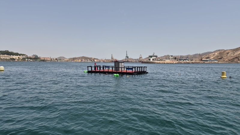 proyecto MED-Hubs energía marina Puerto de Cartagena