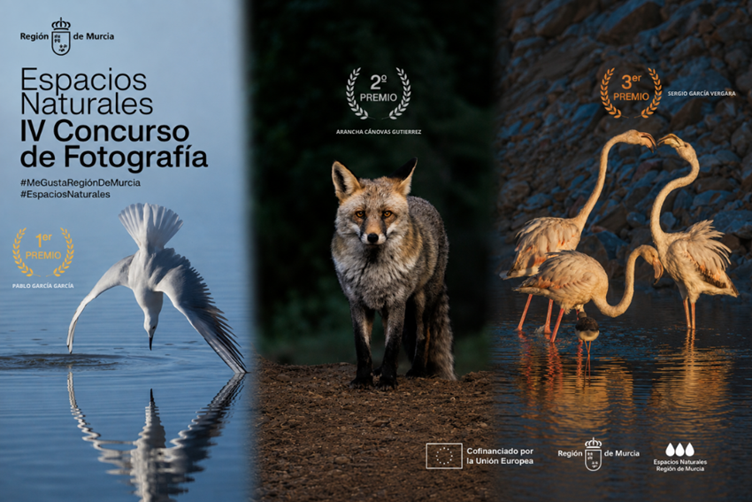 concurso fotografía espacios naturales