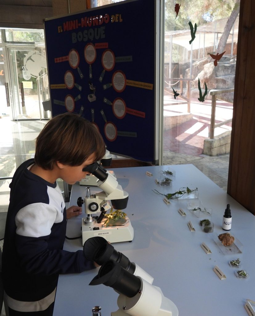 Mochila actividades naturaleza agosto