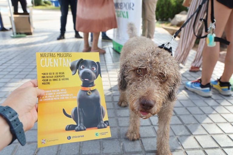 tenencia responsable mascotas playas