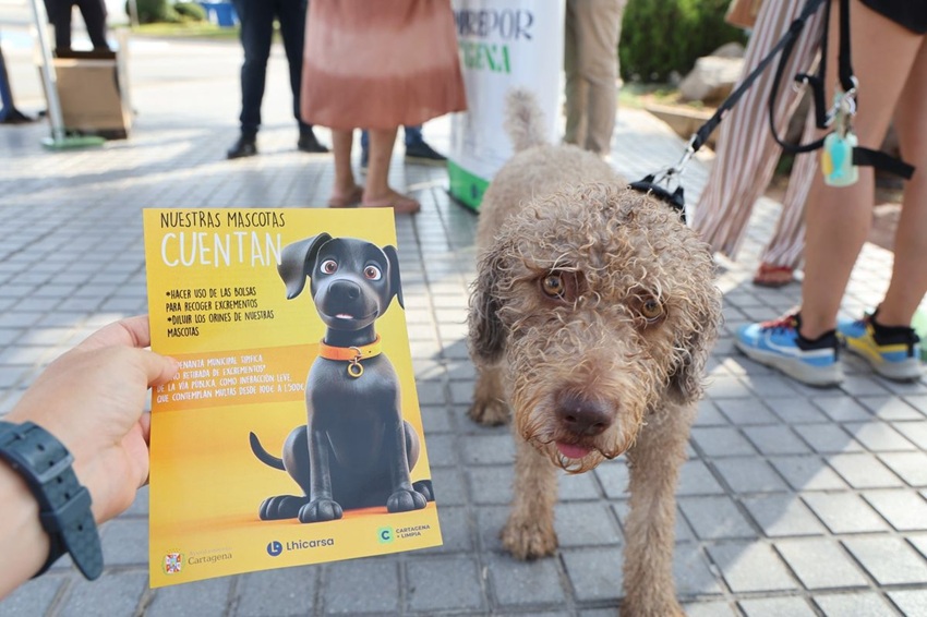 tenencia responsable mascotas playas