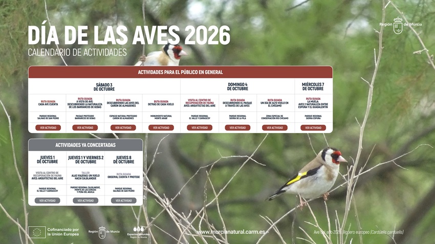 Día de las Aves Murcia