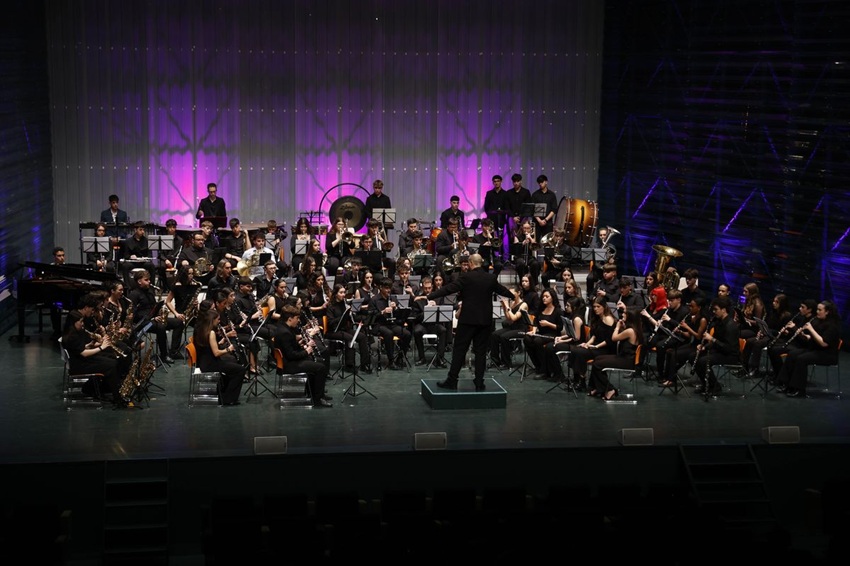 Entre Cuerdas Metales Beethoven