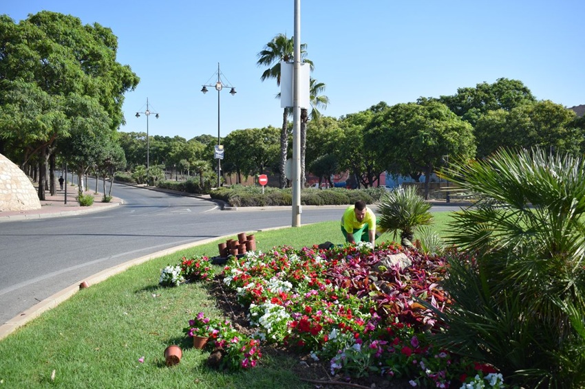Carthagineses Romanos Cartagena plantas
