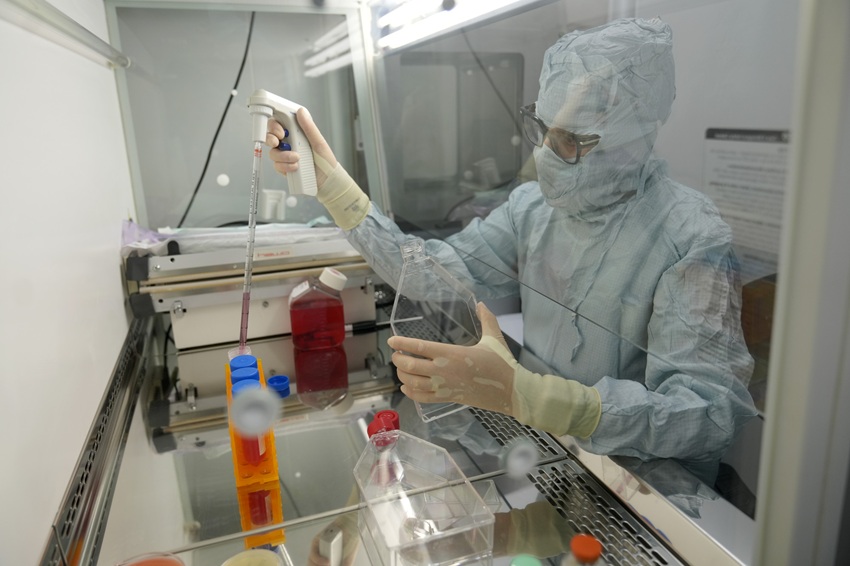 células madre osteoporosis Arrixaca