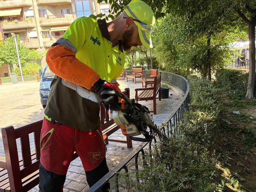 programas experienciales desempleados SEF