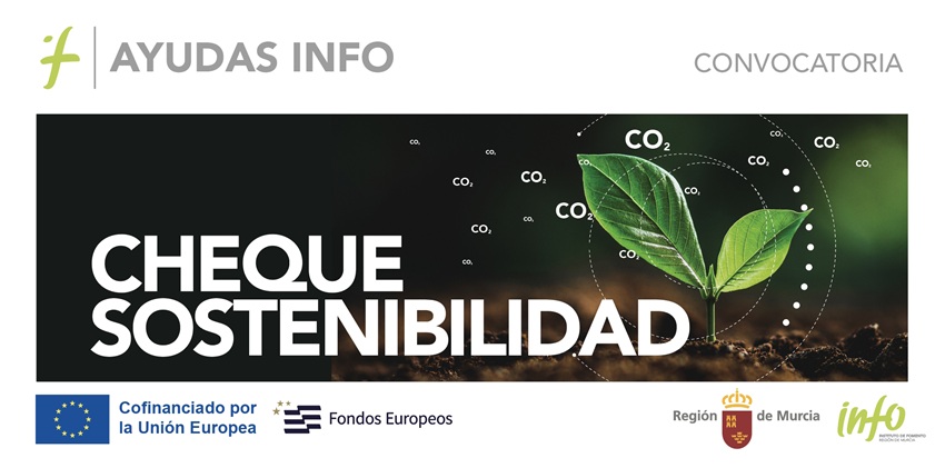 Cheque de Sostenibilidad Info